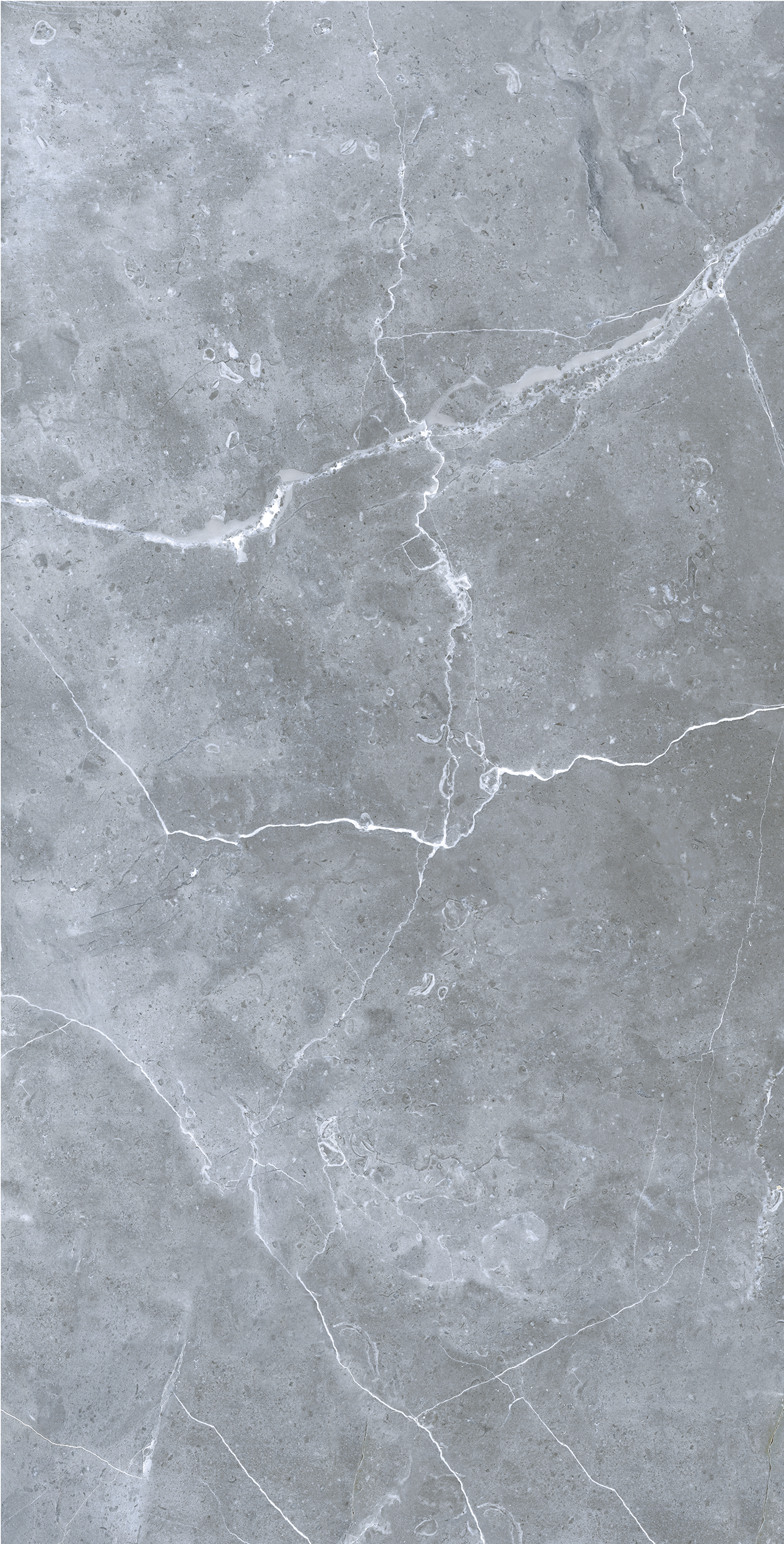 Плитка керамогранит Грессе Petra GRS02-16 Northen Silver матовый