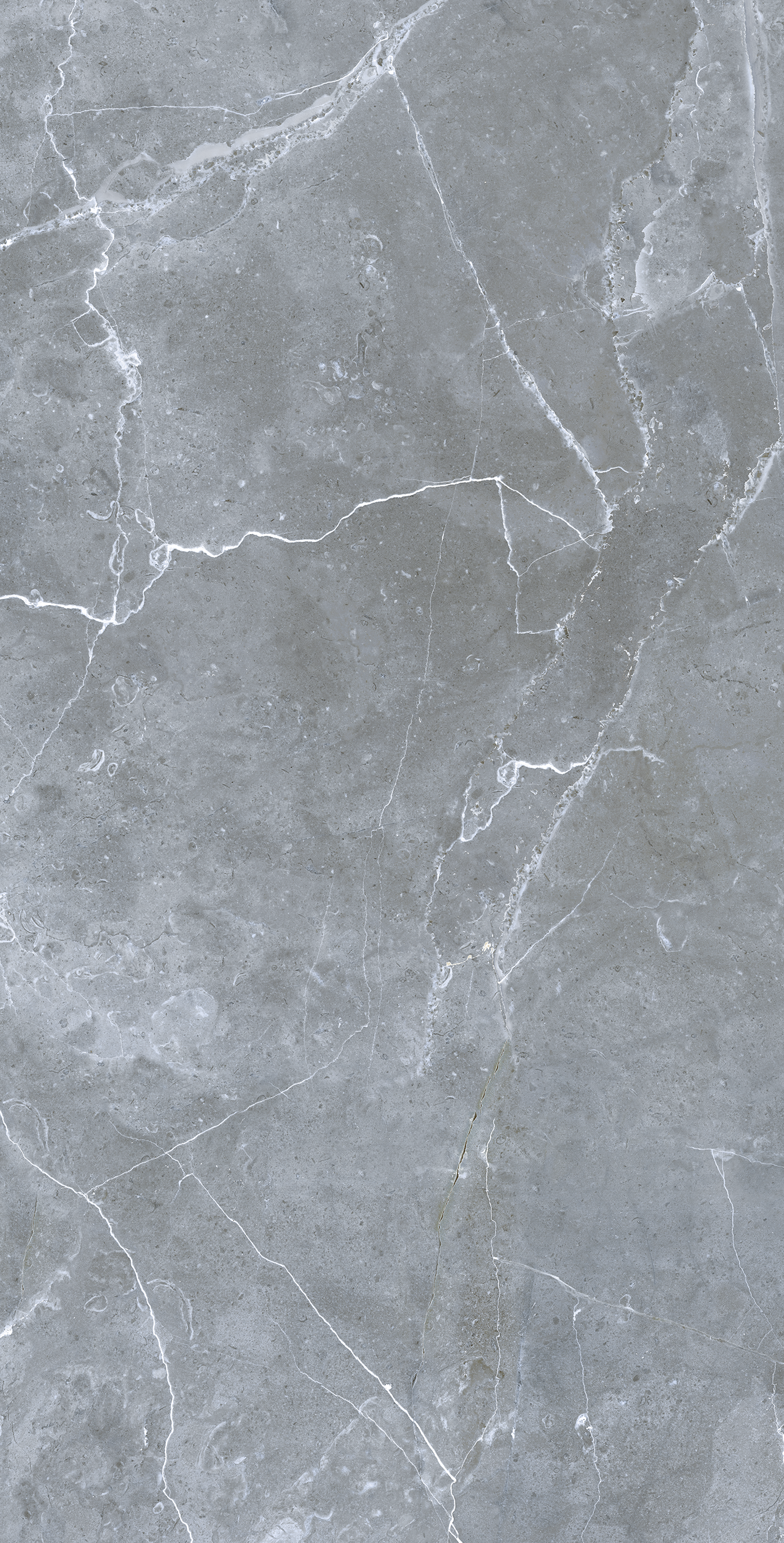 Плитка керамогранит Грессе Petra GRS02-16 Northen Silver матовый