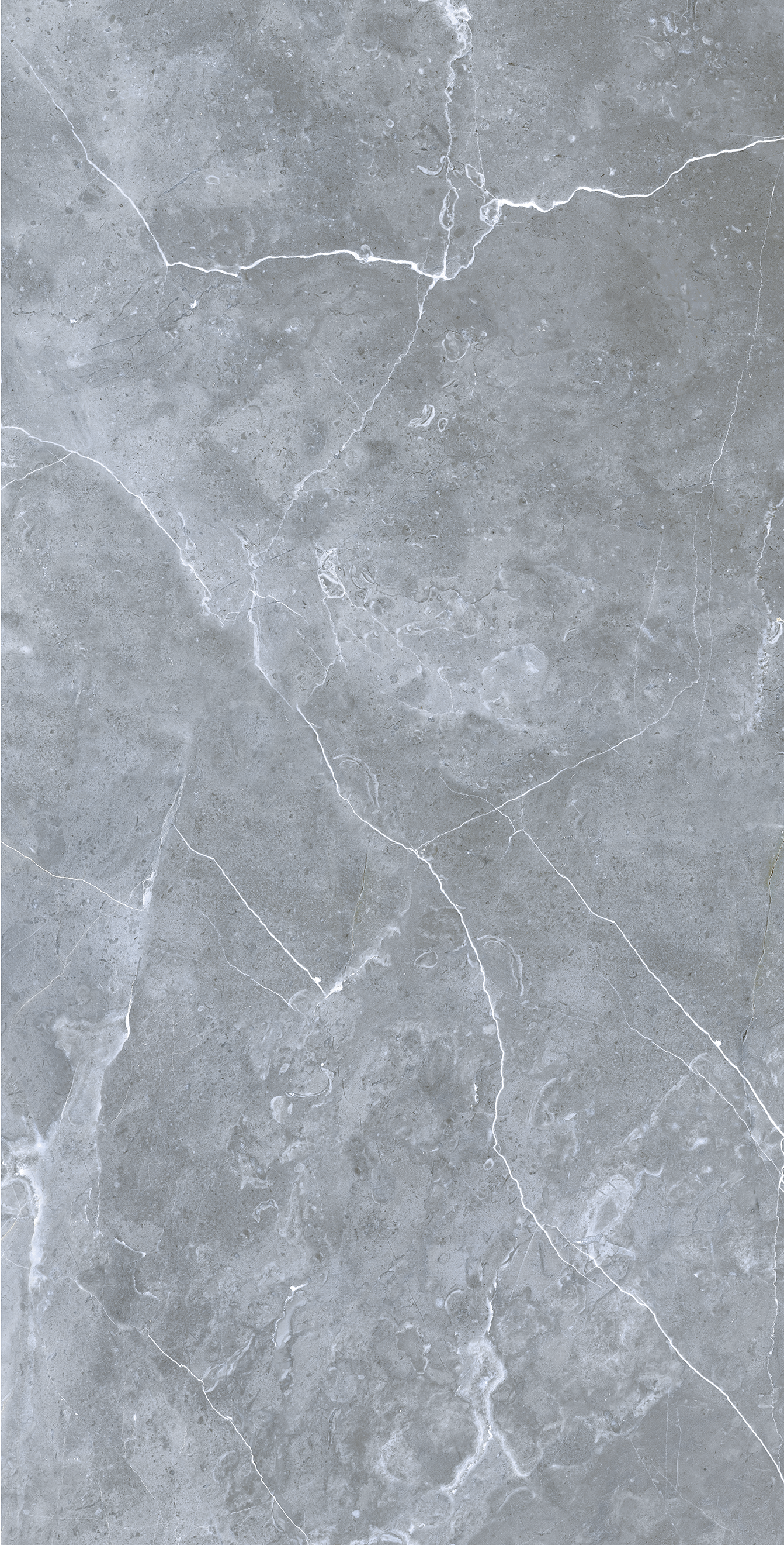 Плитка керамогранит Грессе Petra GRS02-16 Northen Silver матовый