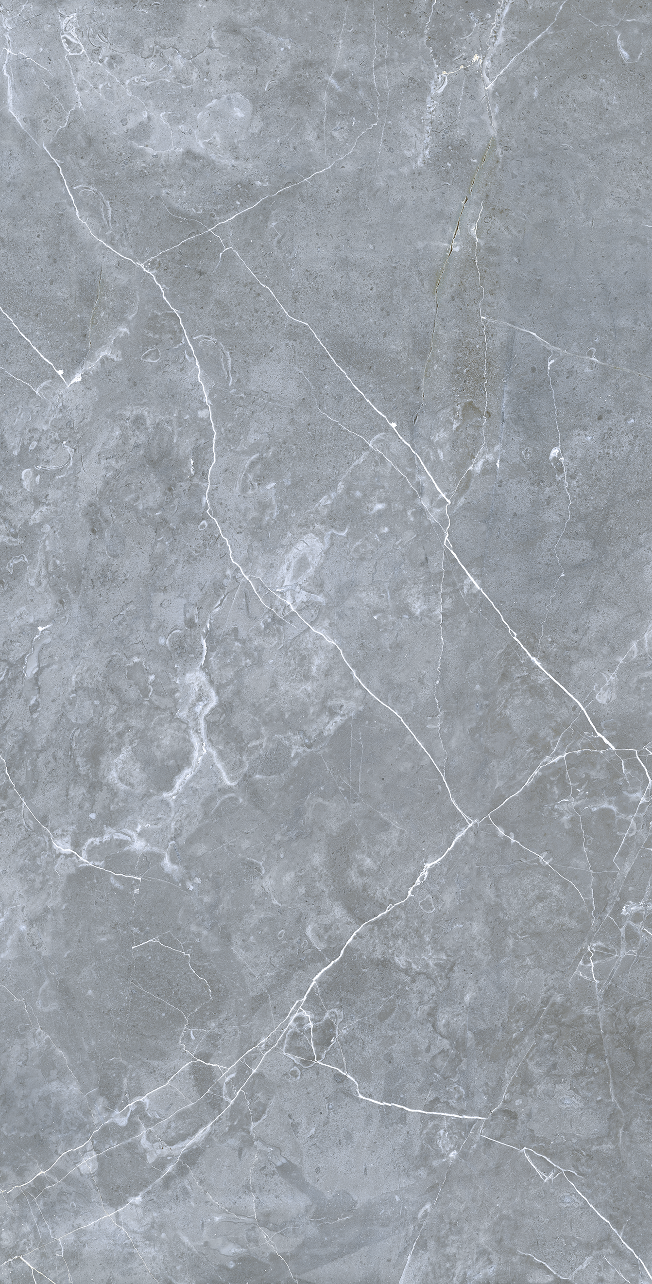 Плитка керамогранит Грессе Petra GRS02-16 Northen Silver матовый