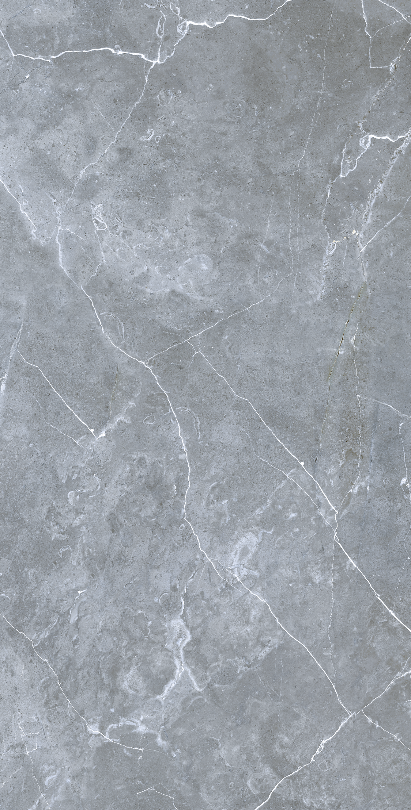 Плитка керамогранит Грессе Petra GRS02-16 Northen Silver матовый