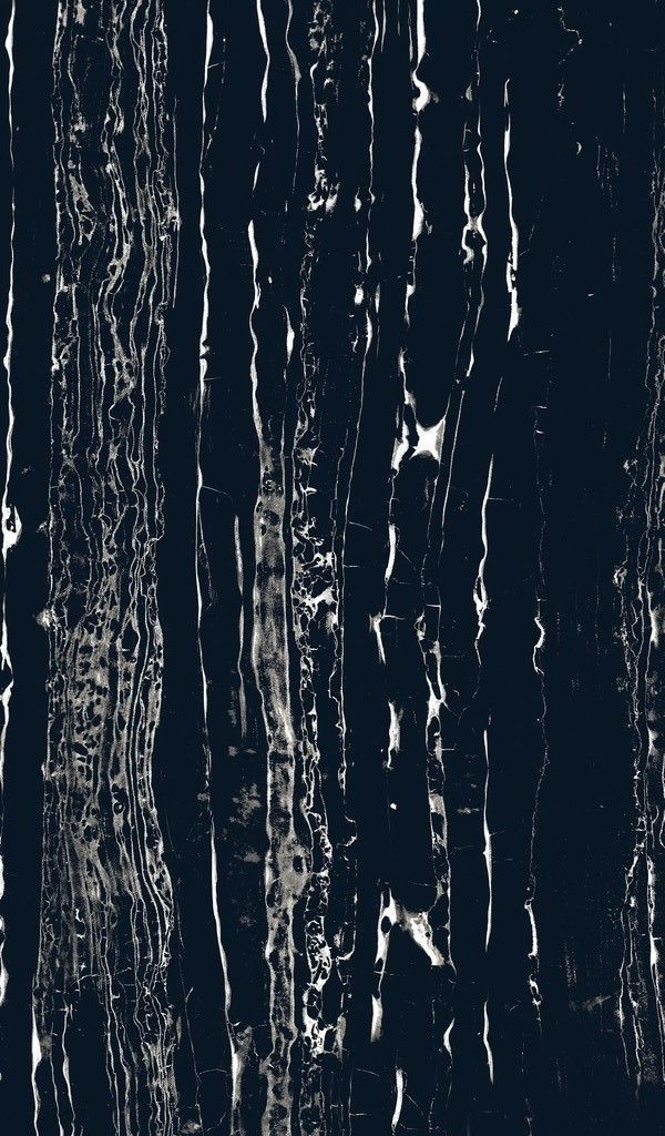 Плитка керамогранит Эннфейс Marble Black Marquina матовый